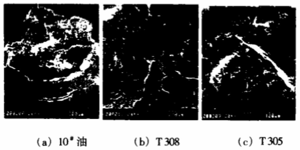 Figure 3 Surface pitting of GCr15 bearing steel ball in microgram